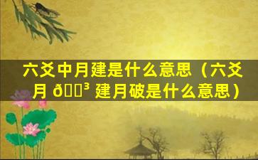 六爻中月建是什么意思（六爻月 🐳 建月破是什么意思）